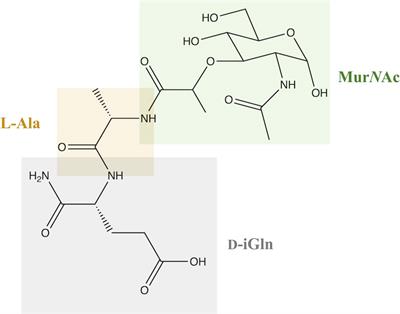 Muramyl dipeptide-based analogs as potential anticancer compounds: Strategies to improve selectivity, biocompatibility, and efficiency